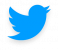 Icon awesome-twitter@3x